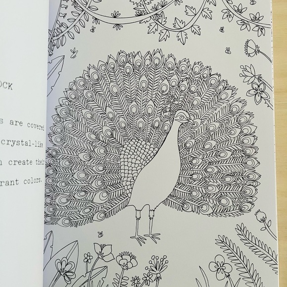 Birds of Paradise: A Therapeutic Coloring Book for Adults - Picture 5 of 9